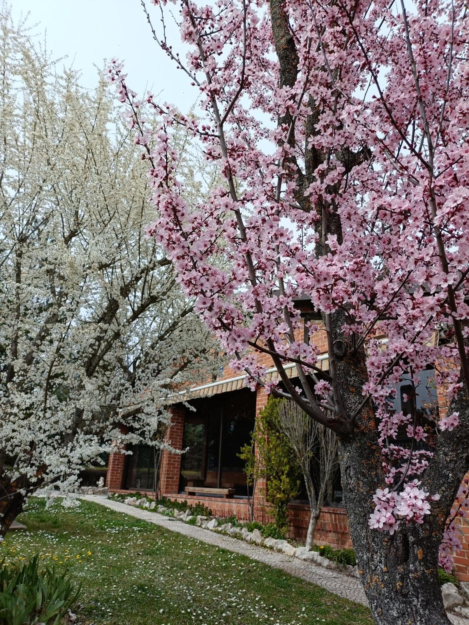 Finca Paraiso Rural إل بورغو دي أوسما الغرفة الصورة